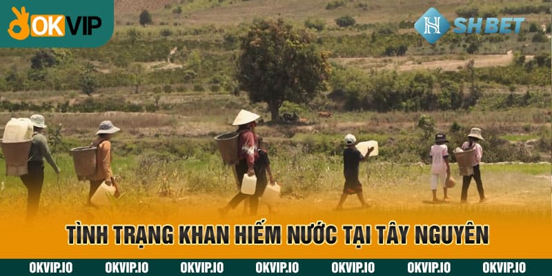 Tình trạng khan hiếm nước tại Tây Nguyên