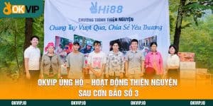 OKVIP Ủng Hộ - Hoạt Động Thiện nguyện Sau Cơn Bão Số 3