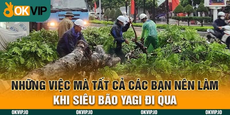 Những việc mà tất cả các bạn nên làm khi siêu bão Yagi đi qua