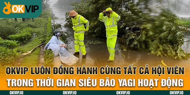 OKVIP luôn đồng hành cùng tất cả hội viên trong thời gian siêu bão Yagi hoạt động